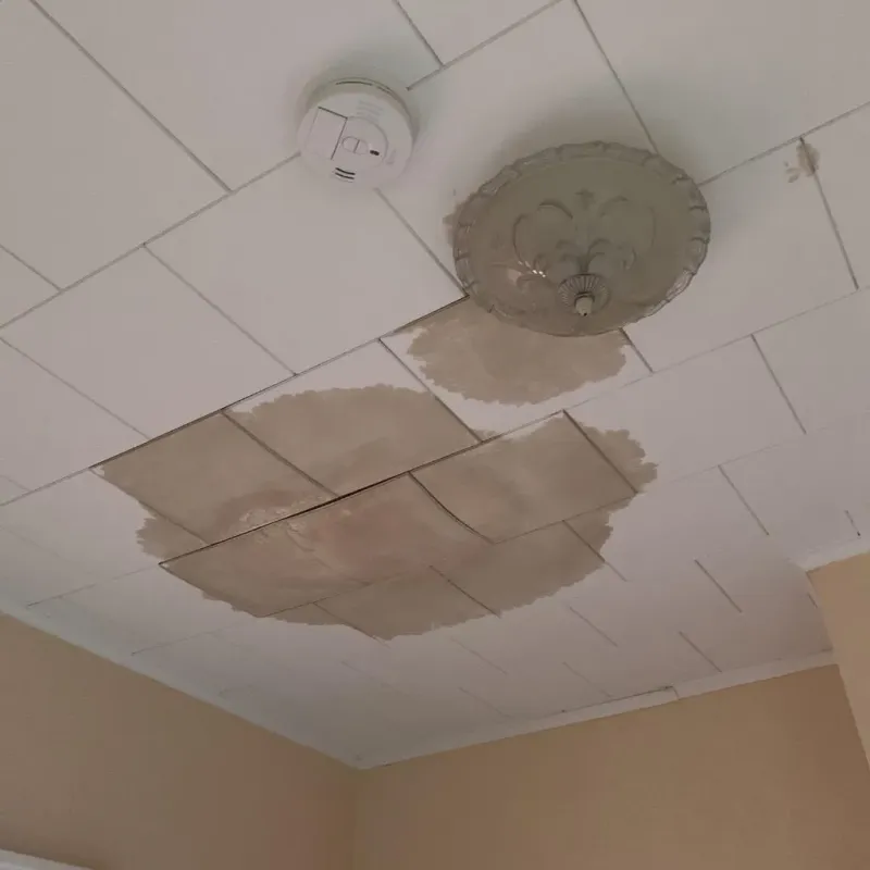 Ceiling Water Damage Repair in Lamoille County, VT