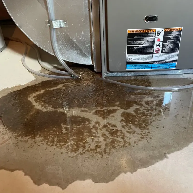 Pipe Burst and Leak Restoration in Lamoille County, VT