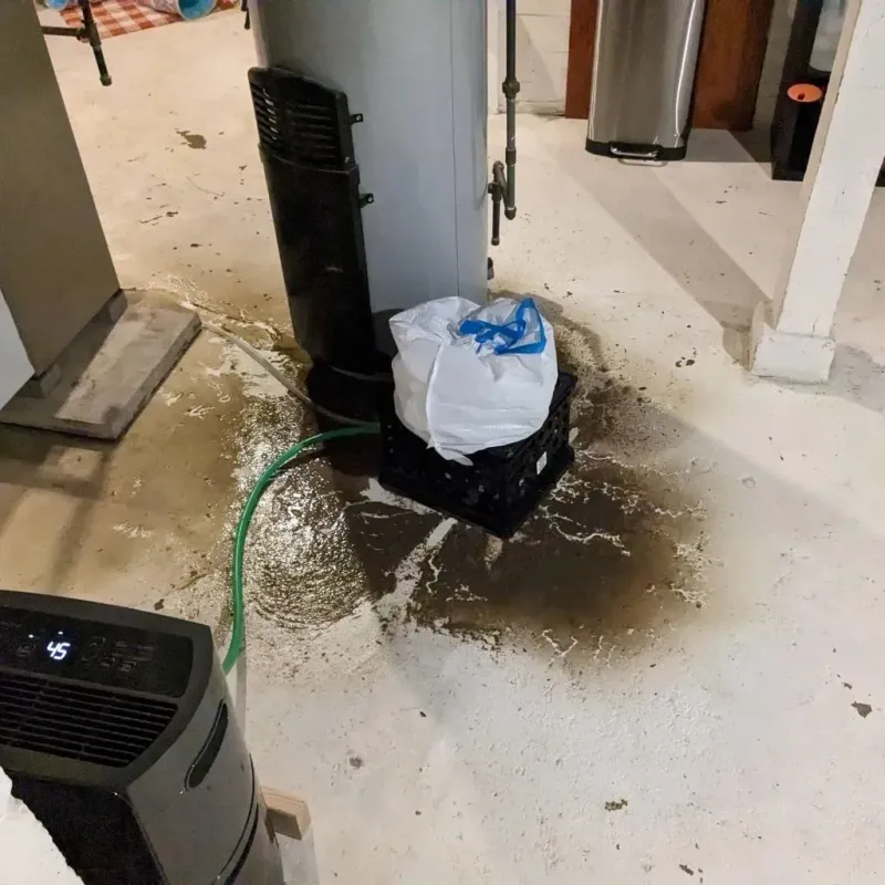 Sewage Backup Cleanup Service in Lamoille County, VT